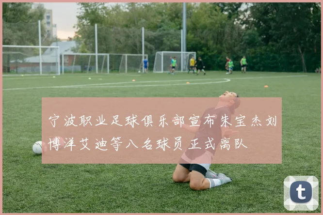 宁波职业足球俱乐部宣布朱宝杰刘博洋艾迪等八名球员正式离队