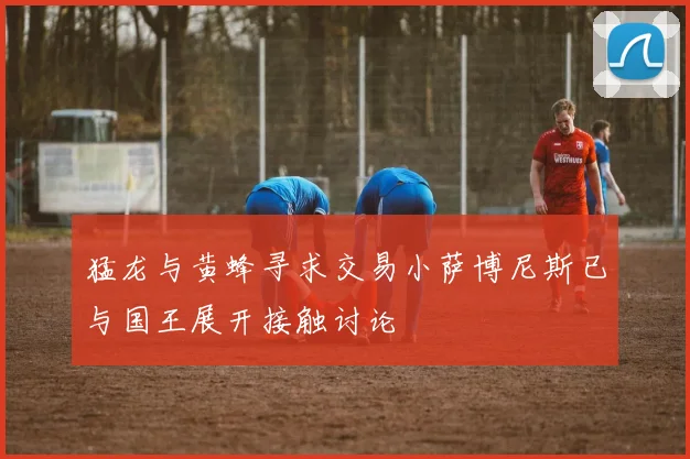 猛龙与黄蜂寻求交易小萨博尼斯已与国王展开接触讨论